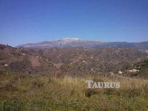 Plot for Sale in Sayalonga