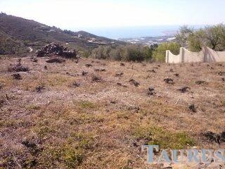 Plot for Sale in Sayalonga
