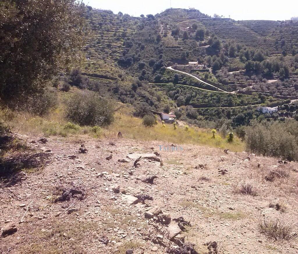 Plot for Sale in Sayalonga