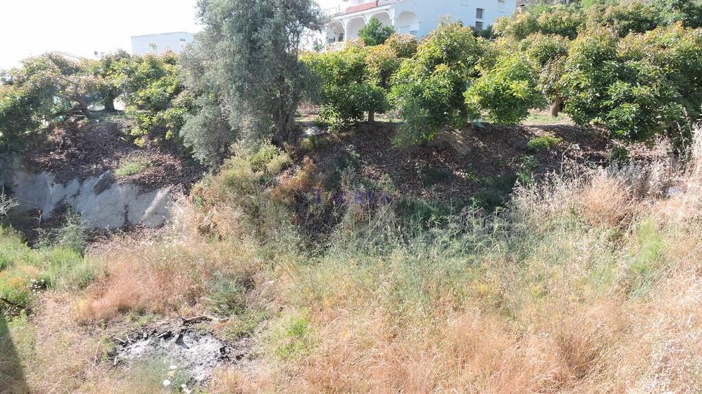 Plot for Sale in Canillas de Aceituno