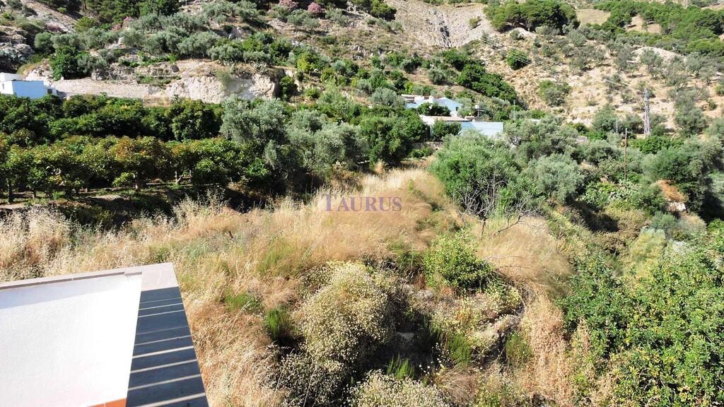 Plot for Sale in Canillas de Aceituno