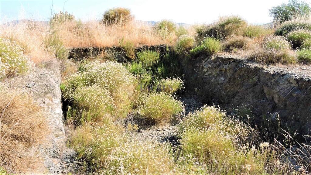 Country Property for Sale in Sedella