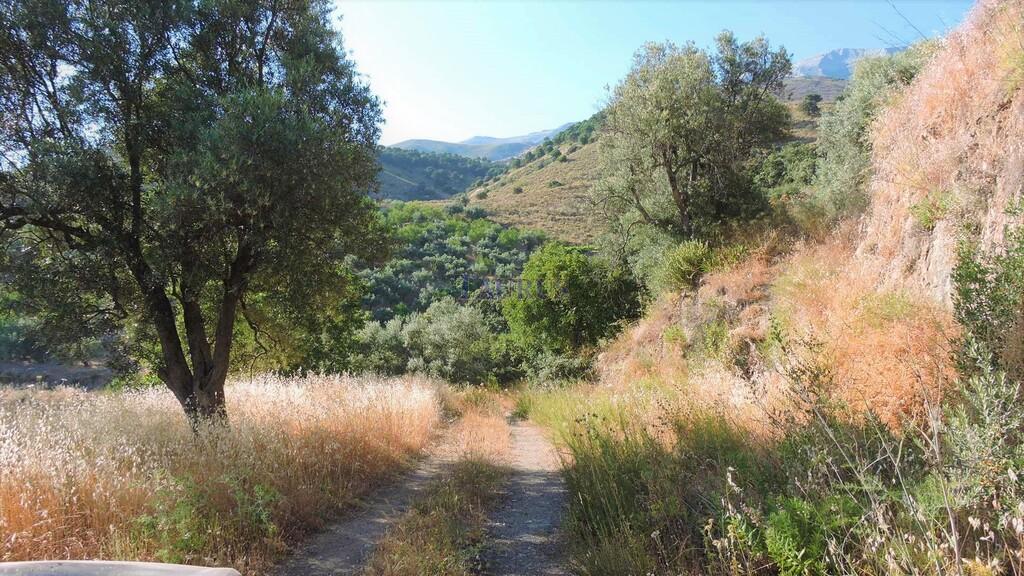 Country Property for Sale in Sedella