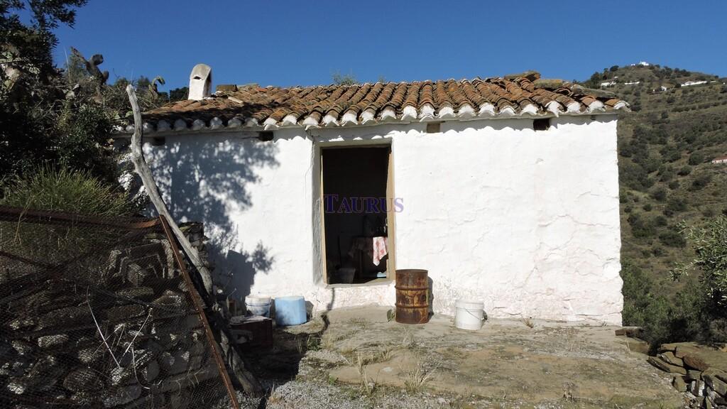 Country Property for Sale in Sayalonga