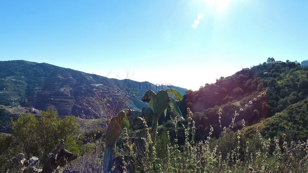 Country Property for Sale in Sayalonga