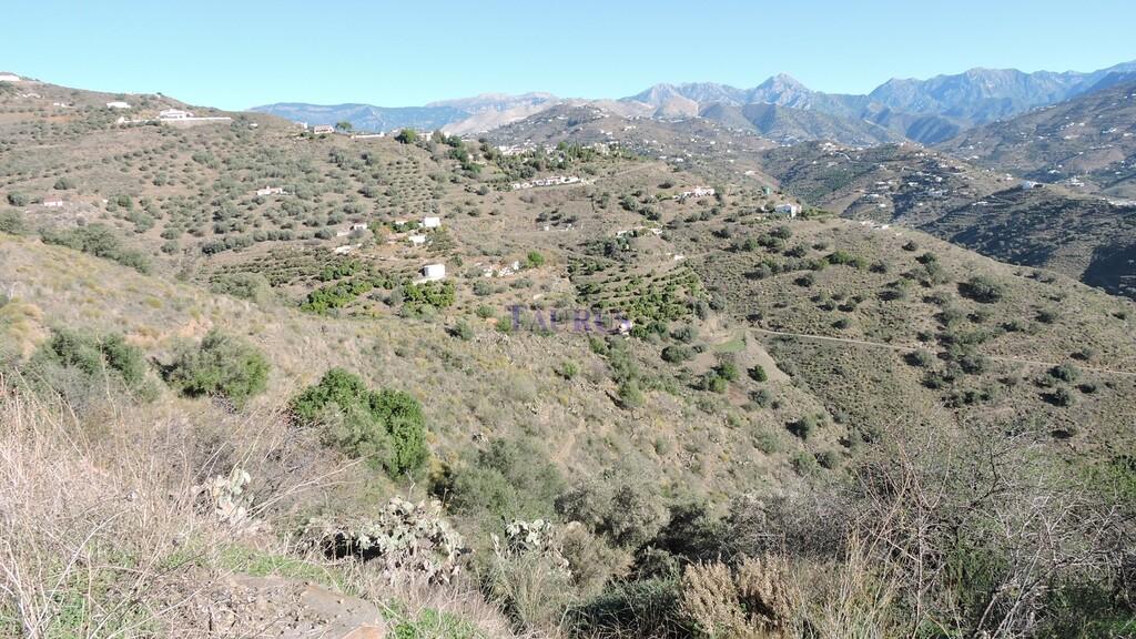 Country Property for Sale in Sayalonga
