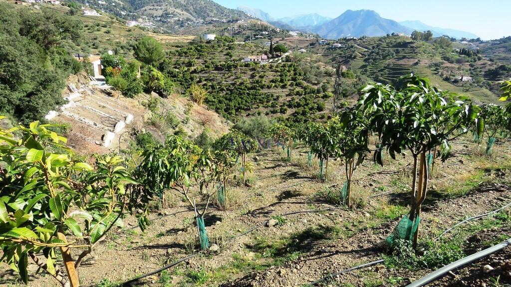 Country Property for Sale in Cómpeta