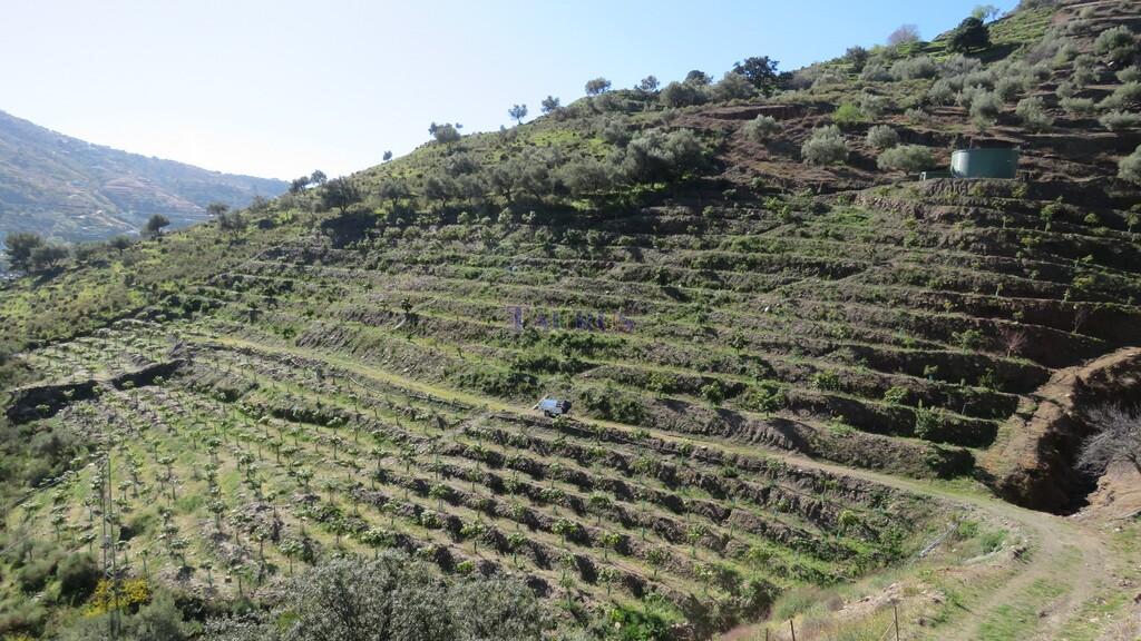 Country Property for Sale in Cómpeta