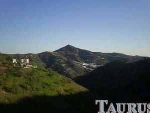 Country Property for Sale in Sayalonga
