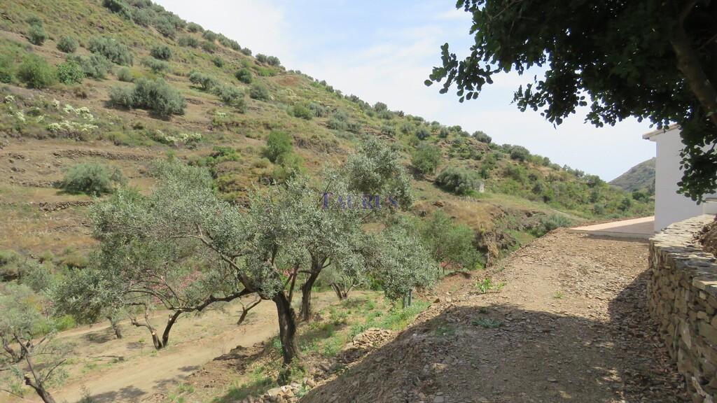 Country Property for Sale in Cómpeta