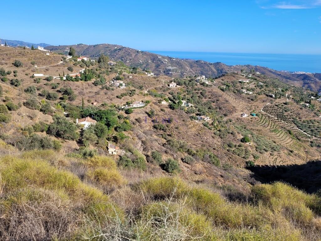 Plot for Sale in Sayalonga