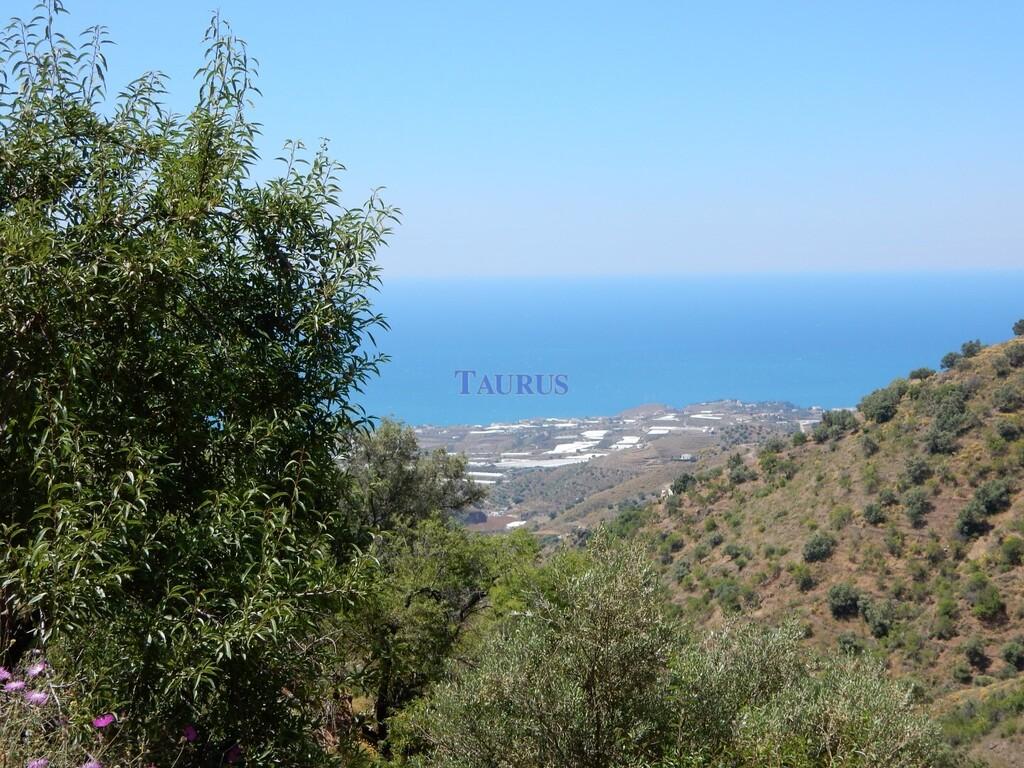 Plot for Sale in Sayalonga
