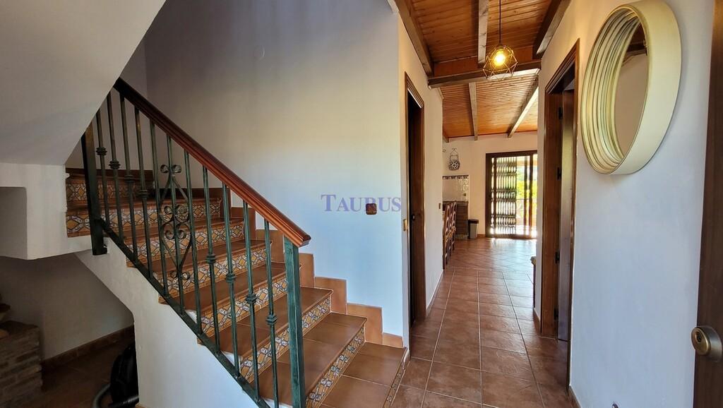 Villa for Sale in Torrox