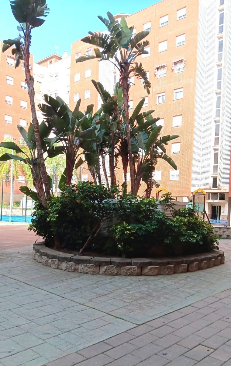 Flat for Sale in Málaga
