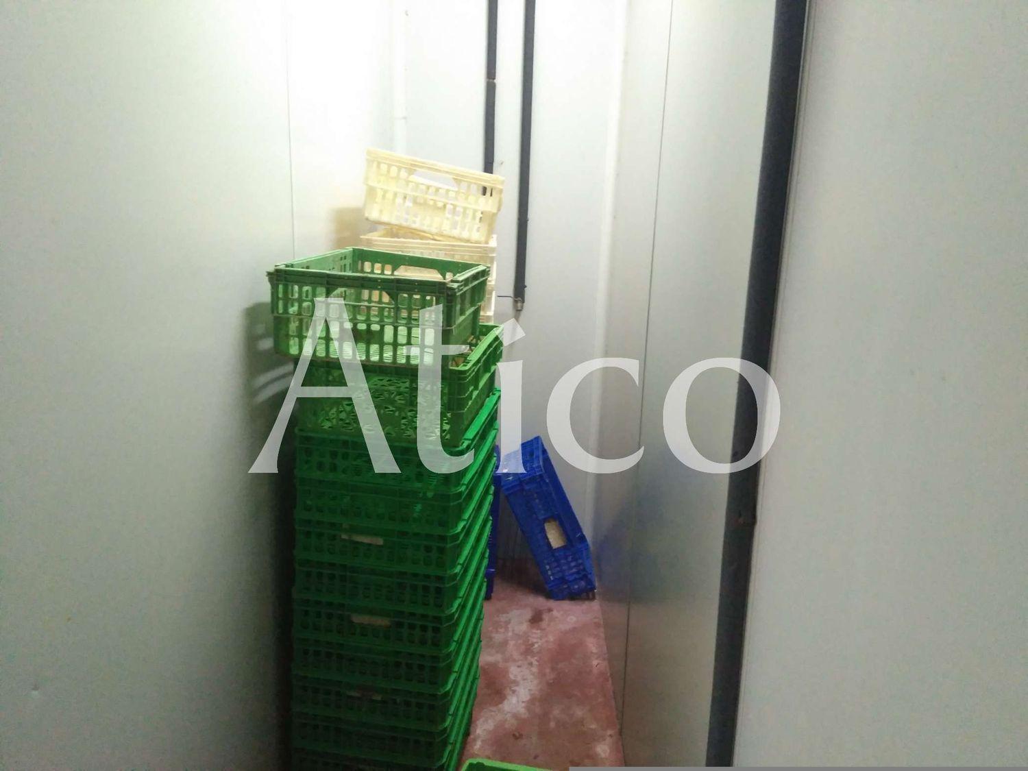 Premise for Rent in La Lastrilla