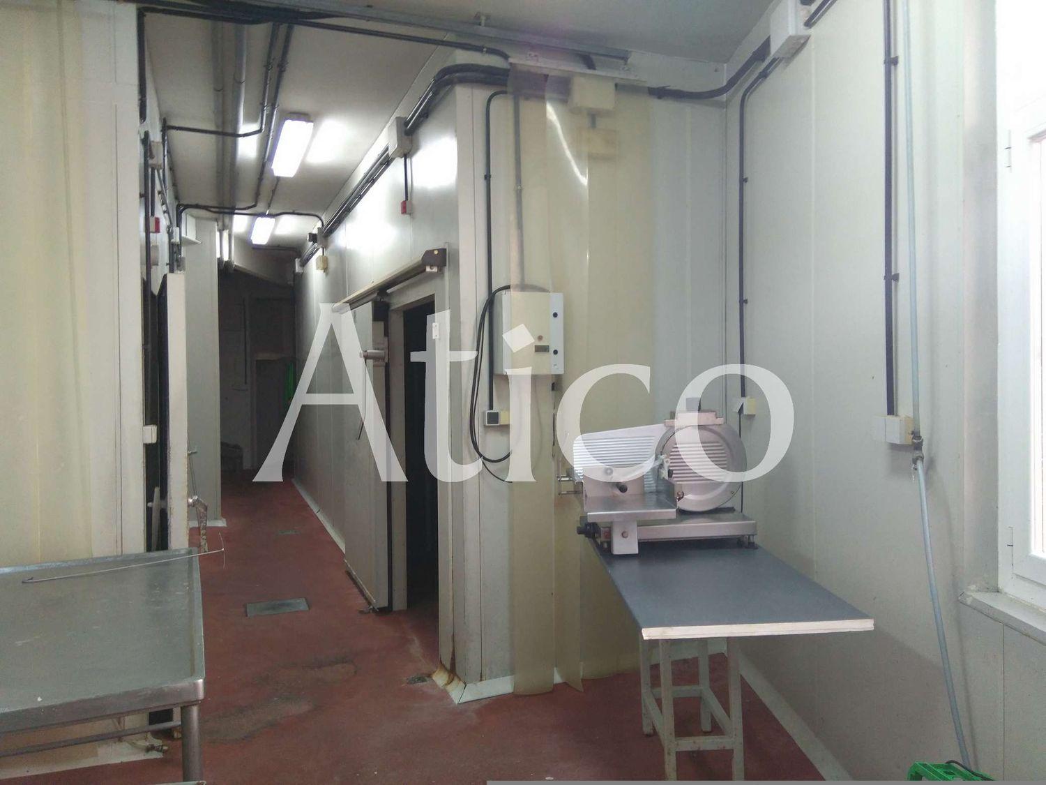 Premise for Rent in La Lastrilla