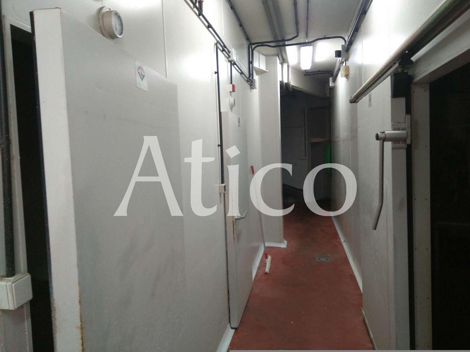 Premise for Rent in La Lastrilla