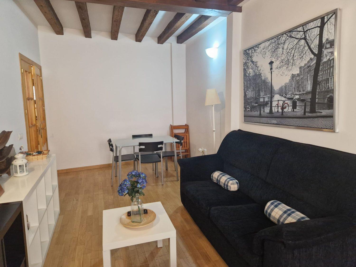 Duplex for Rent in Segovia
