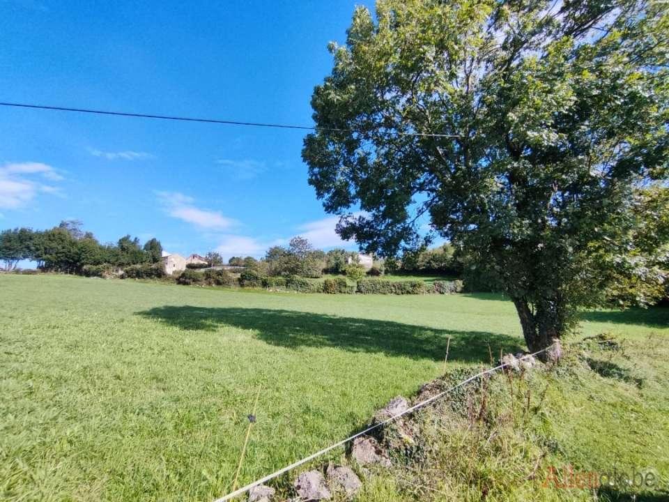 Parcela en Venta en Oviedo