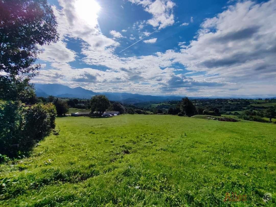 Parcela en Venta en Oviedo