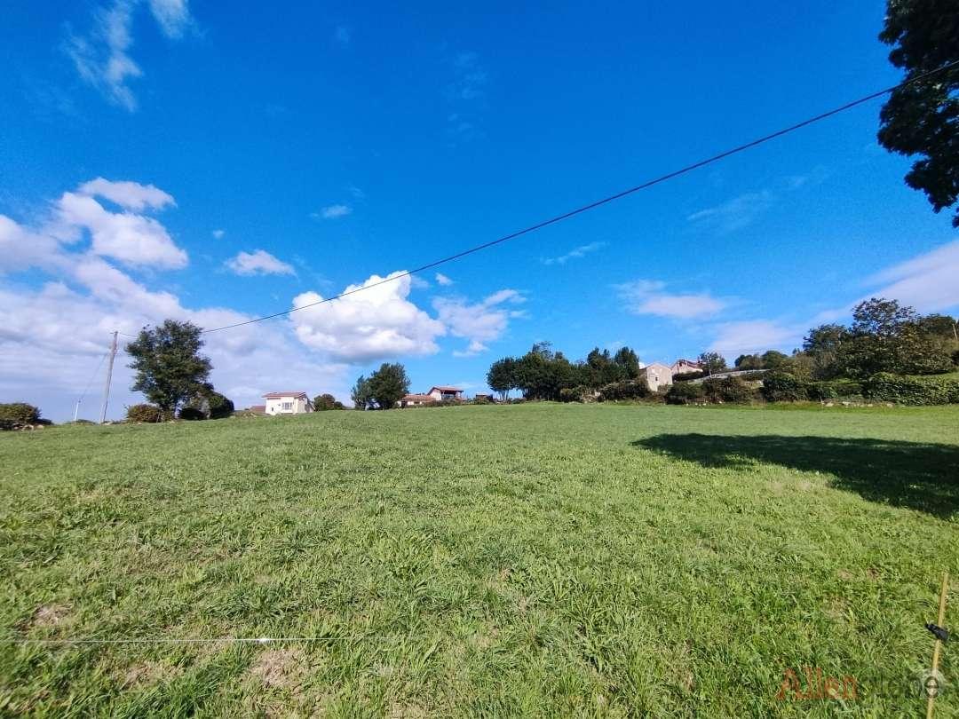 Parcela en Venta en Oviedo
