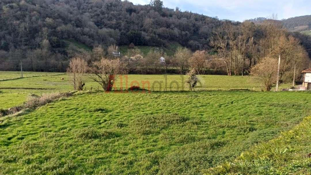 Parcela en Venta en Oviedo