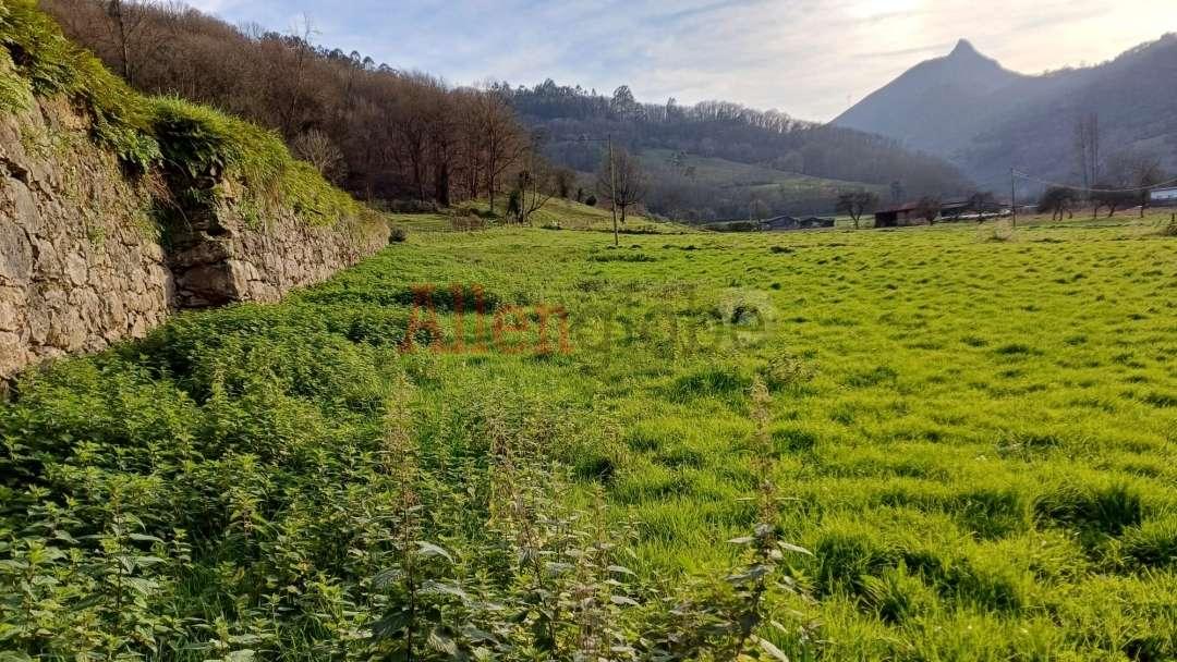 Parcela en Venta en Oviedo
