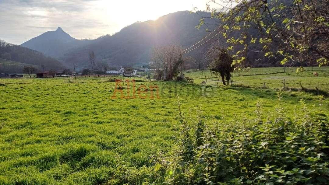 Parcela en Venta en Oviedo