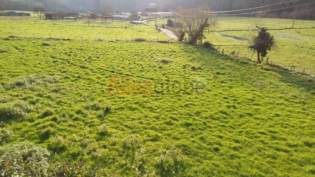Parcela en Venta en Oviedo