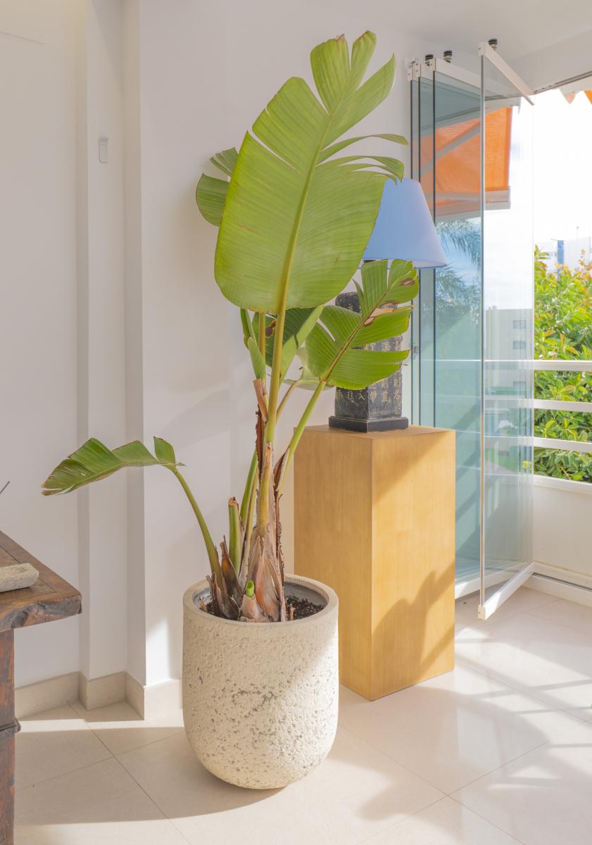 Flat for Sale in Torremolinos