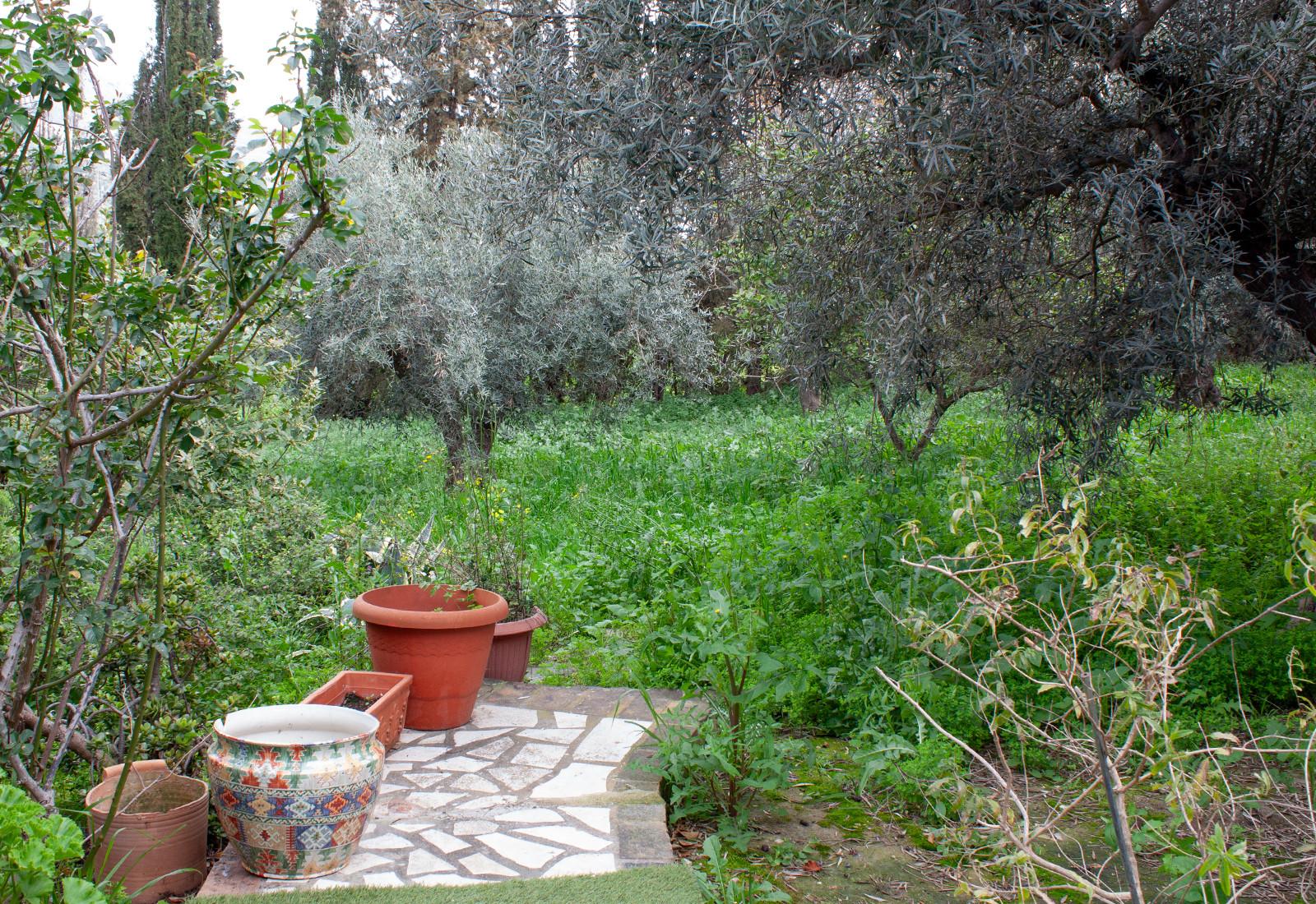 Finca en Venta en Coín