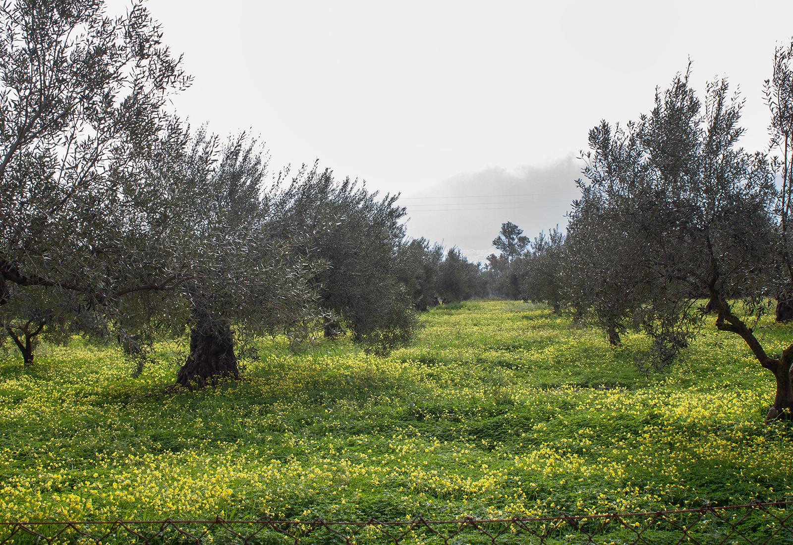 Finca en Venta en Coín
