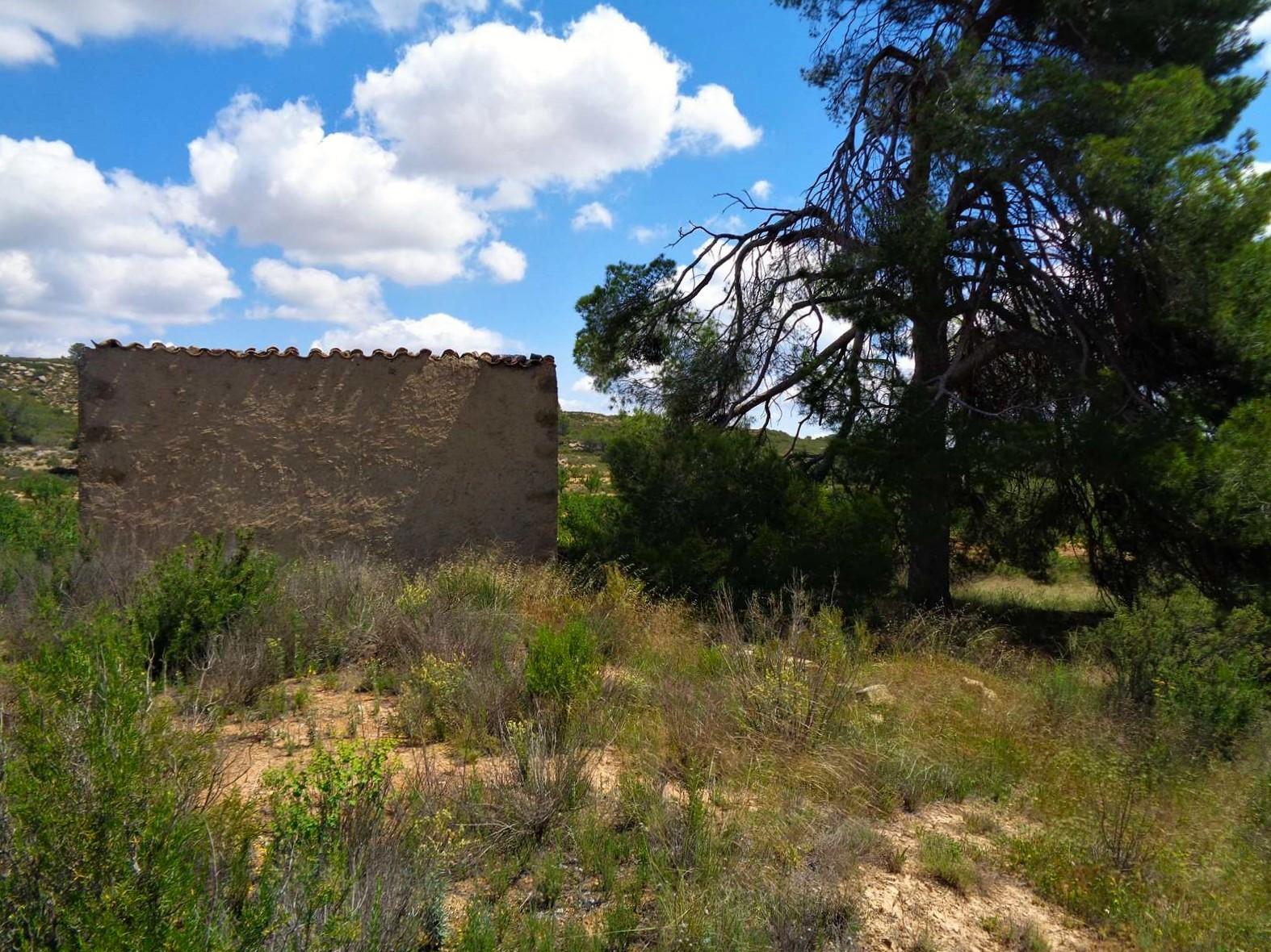 Finca en Venta en Maella