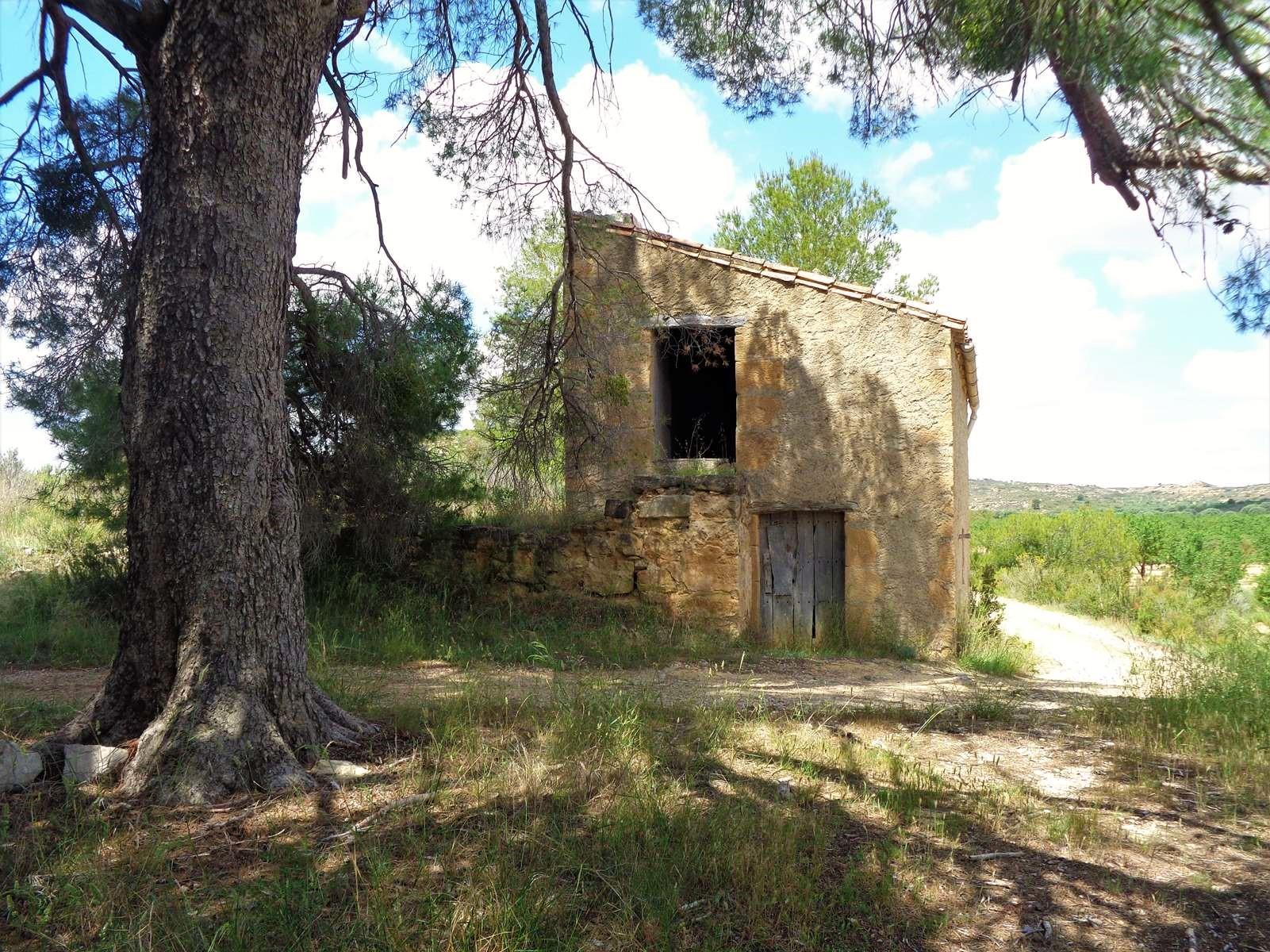 Finca en Venta en Maella