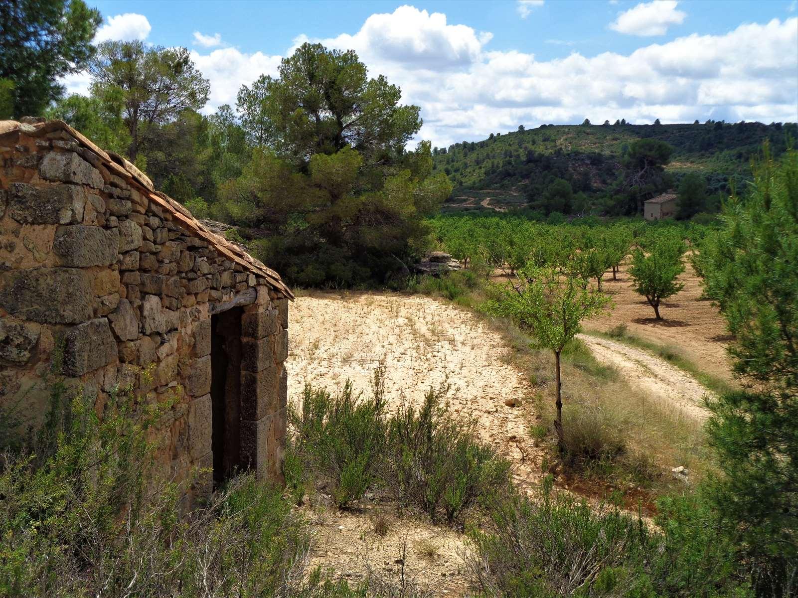 Finca en Venta en Maella