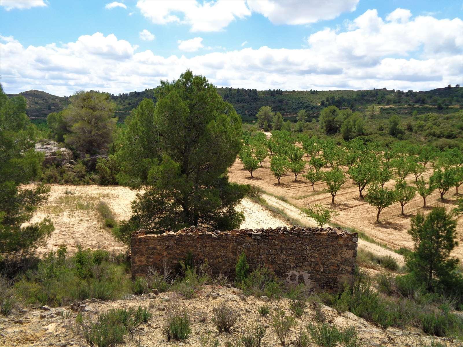 Finca en Venta en Maella