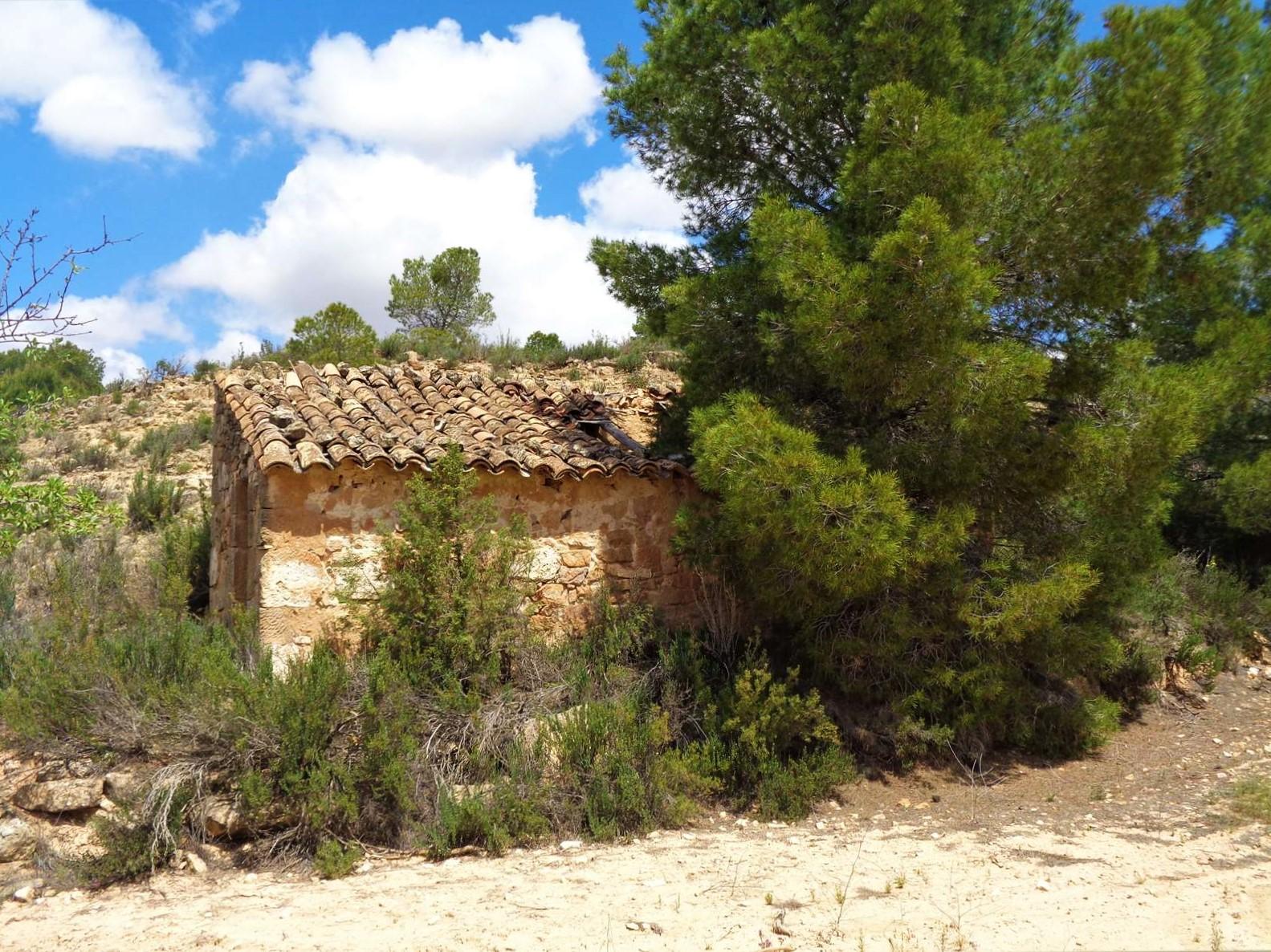 Finca en Venta en Maella