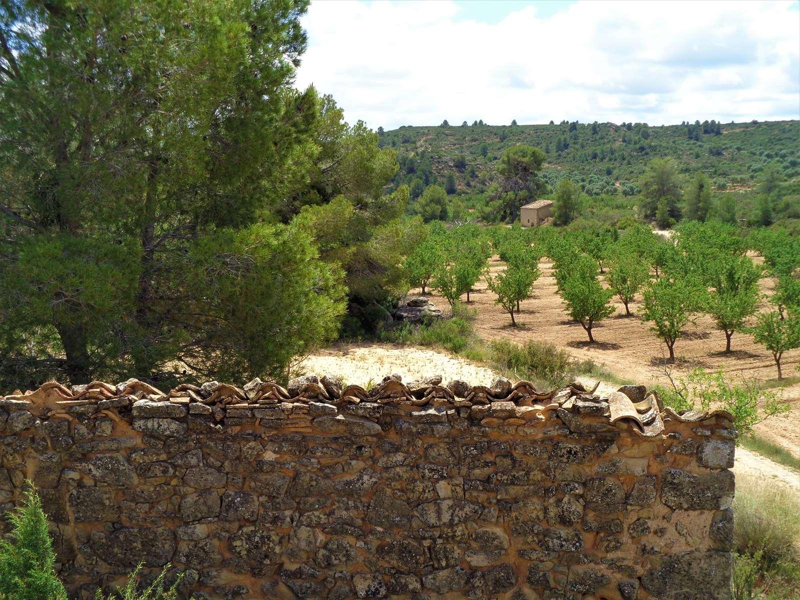 Finca en Venta en Maella