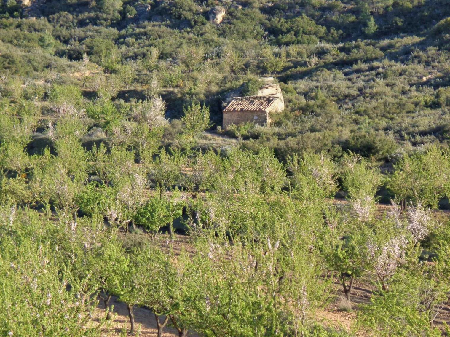 Finca en Venta en Maella