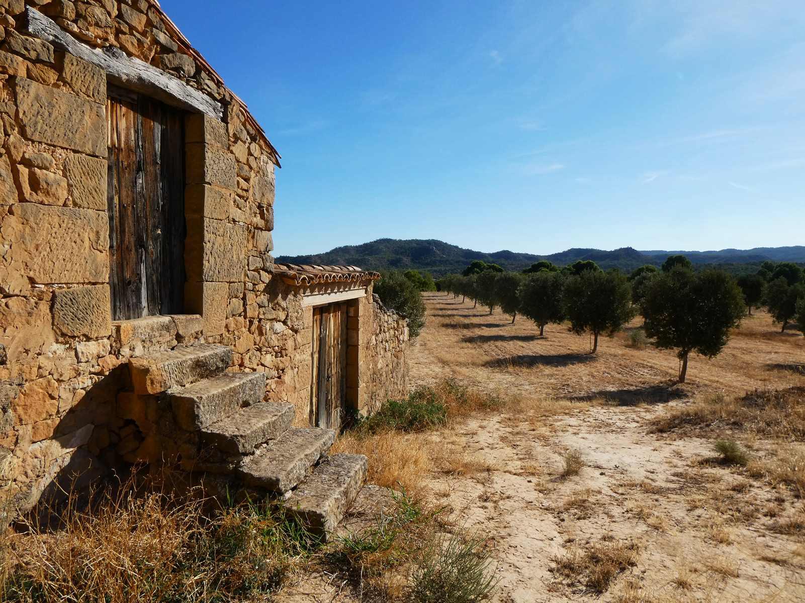 Finca en Venta en Maella