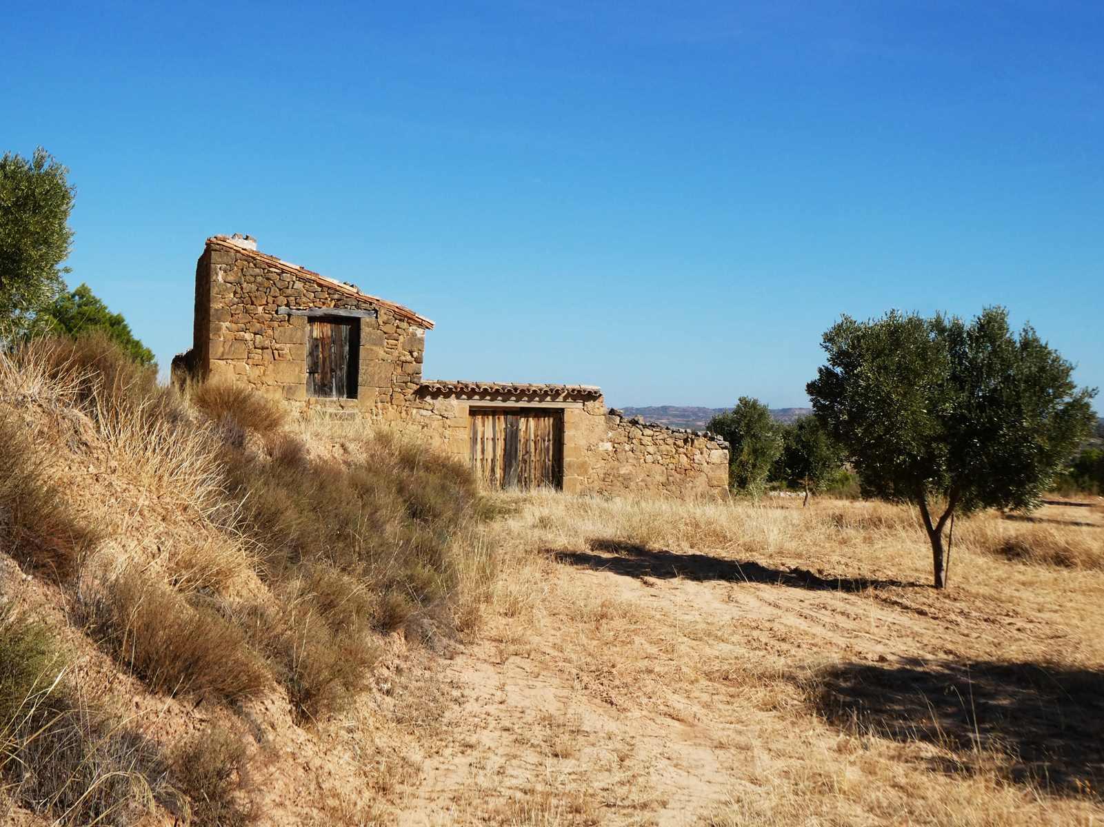 Finca en Venta en Maella