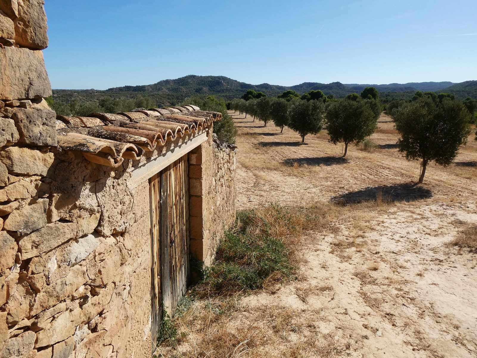 Finca en Venta en Maella