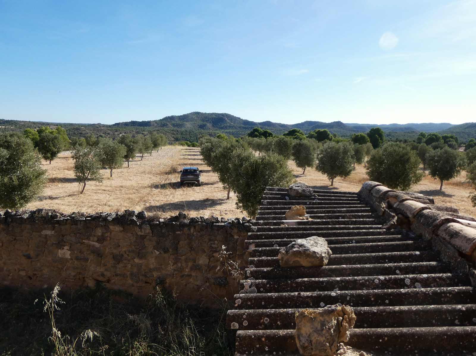 Finca en Venta en Maella