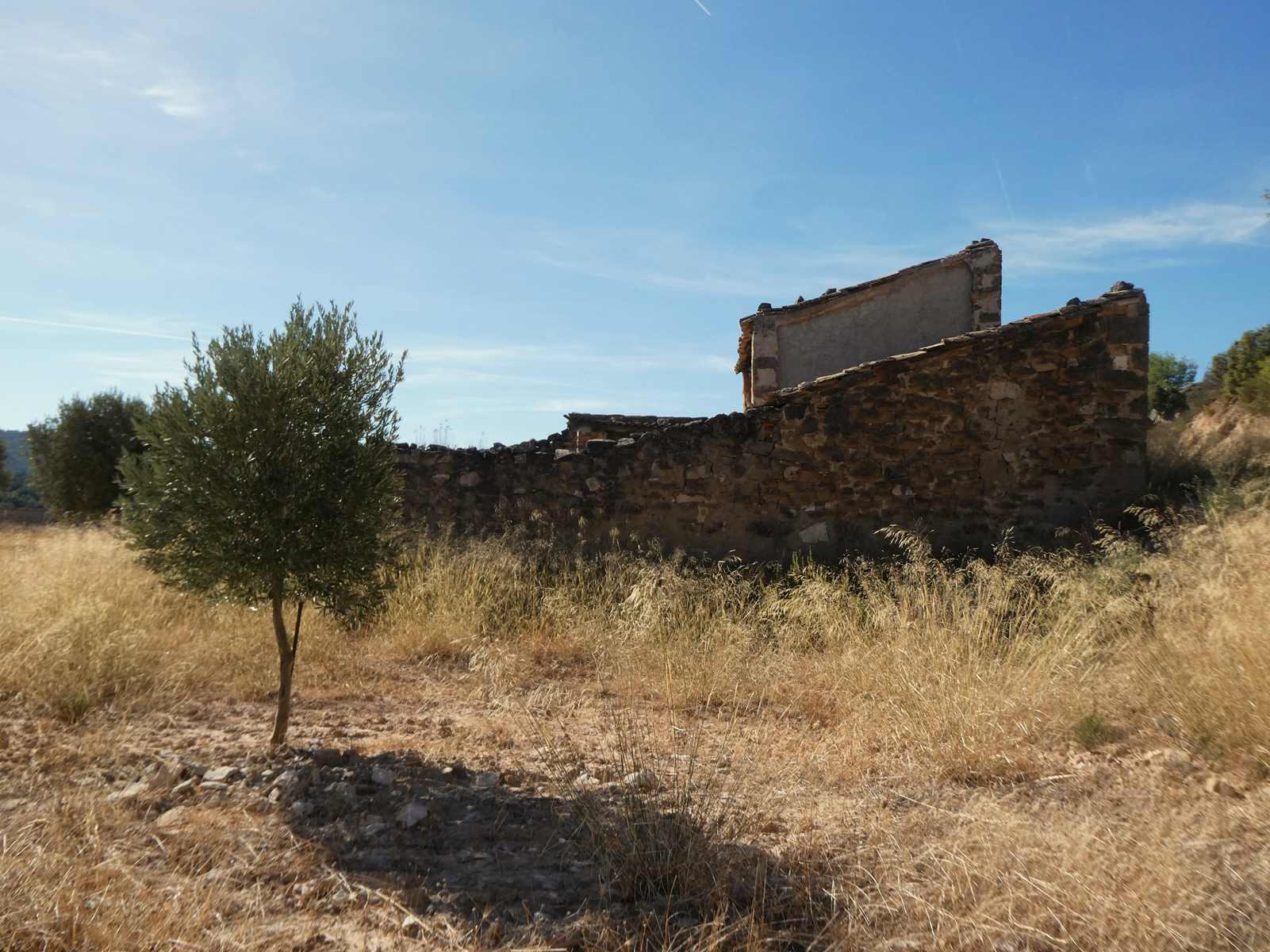 Finca en Venta en Maella