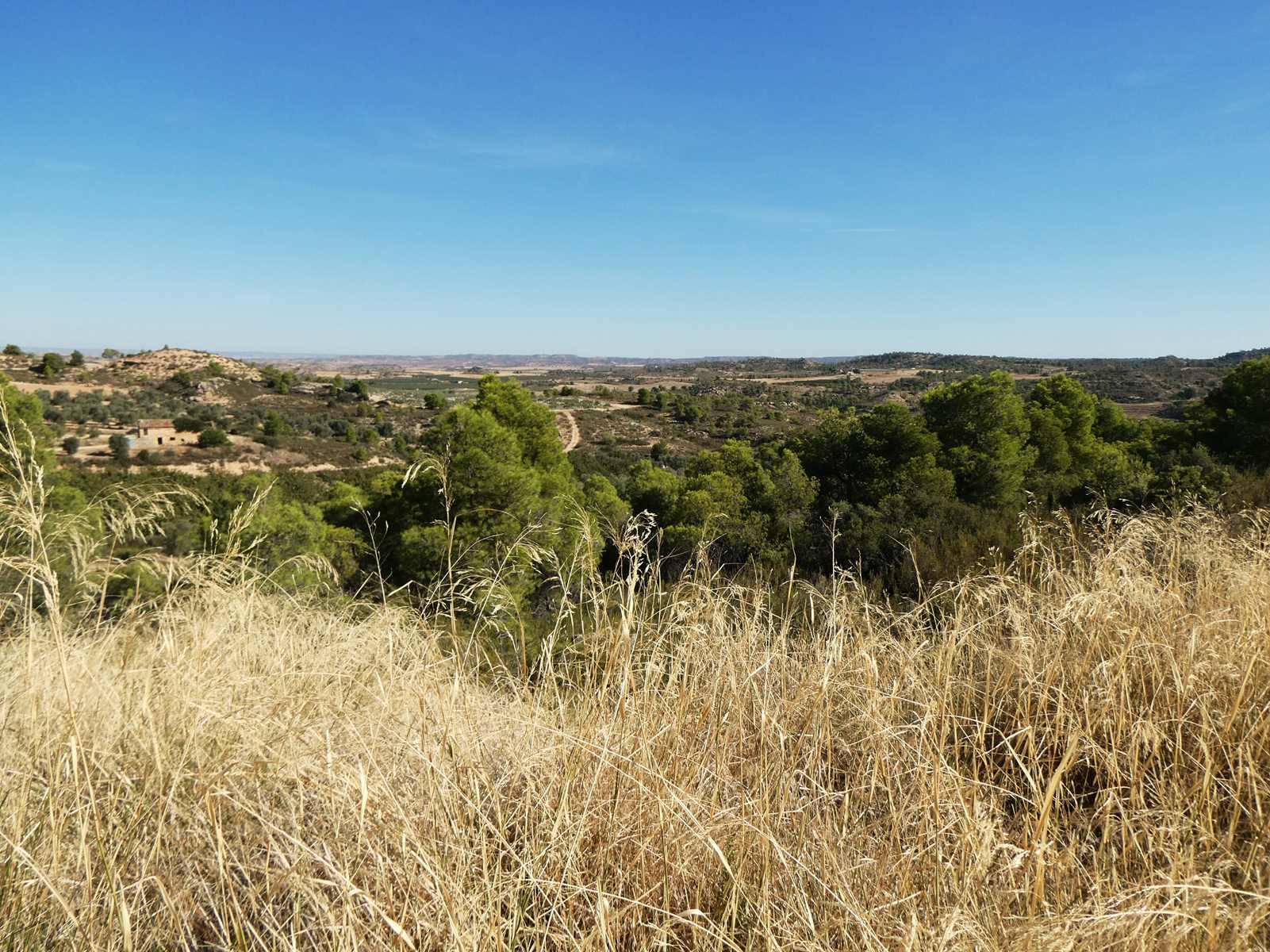 Finca en Venta en Maella