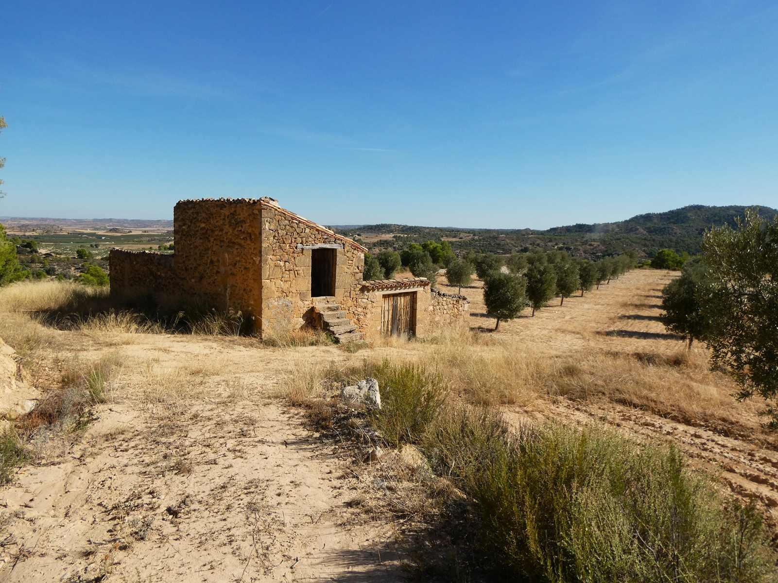 Finca en Venta en Maella