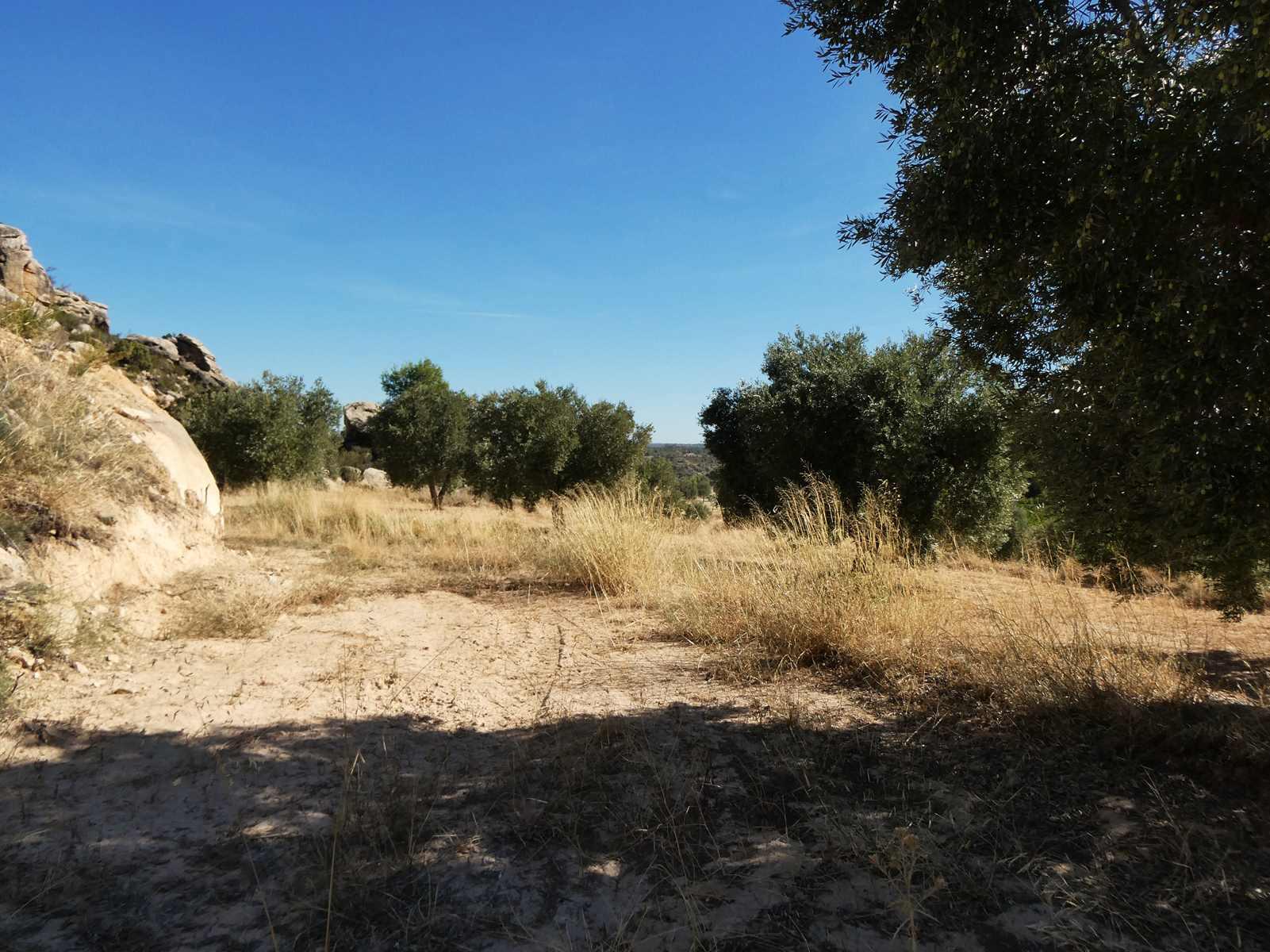 Finca en Venta en Maella
