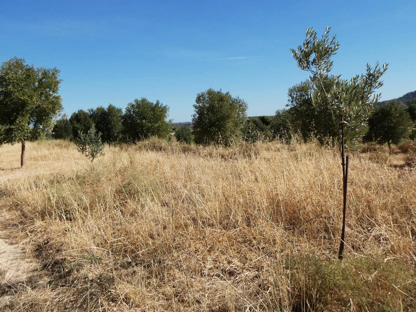 Finca en Venta en Maella