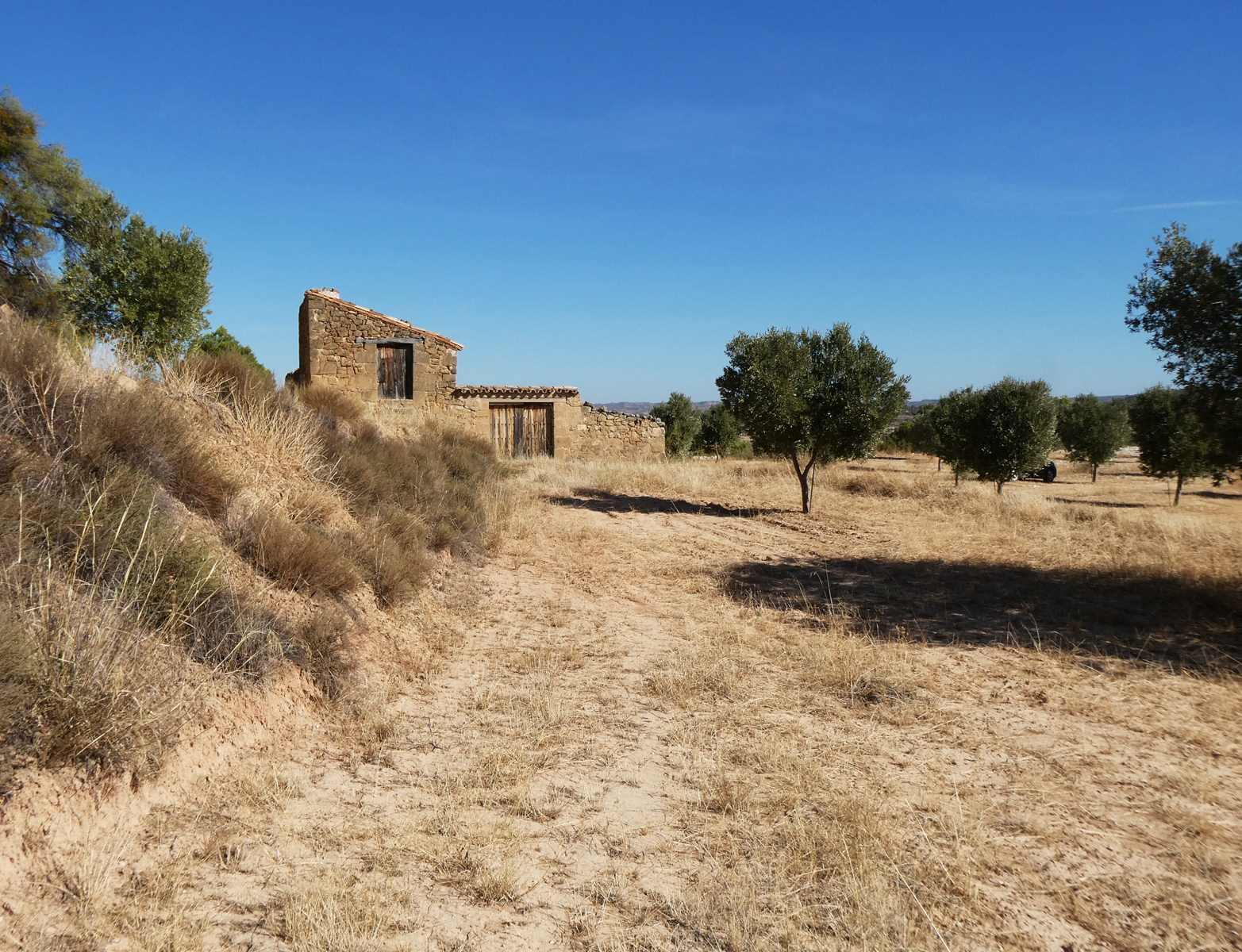 Finca en Venta en Maella