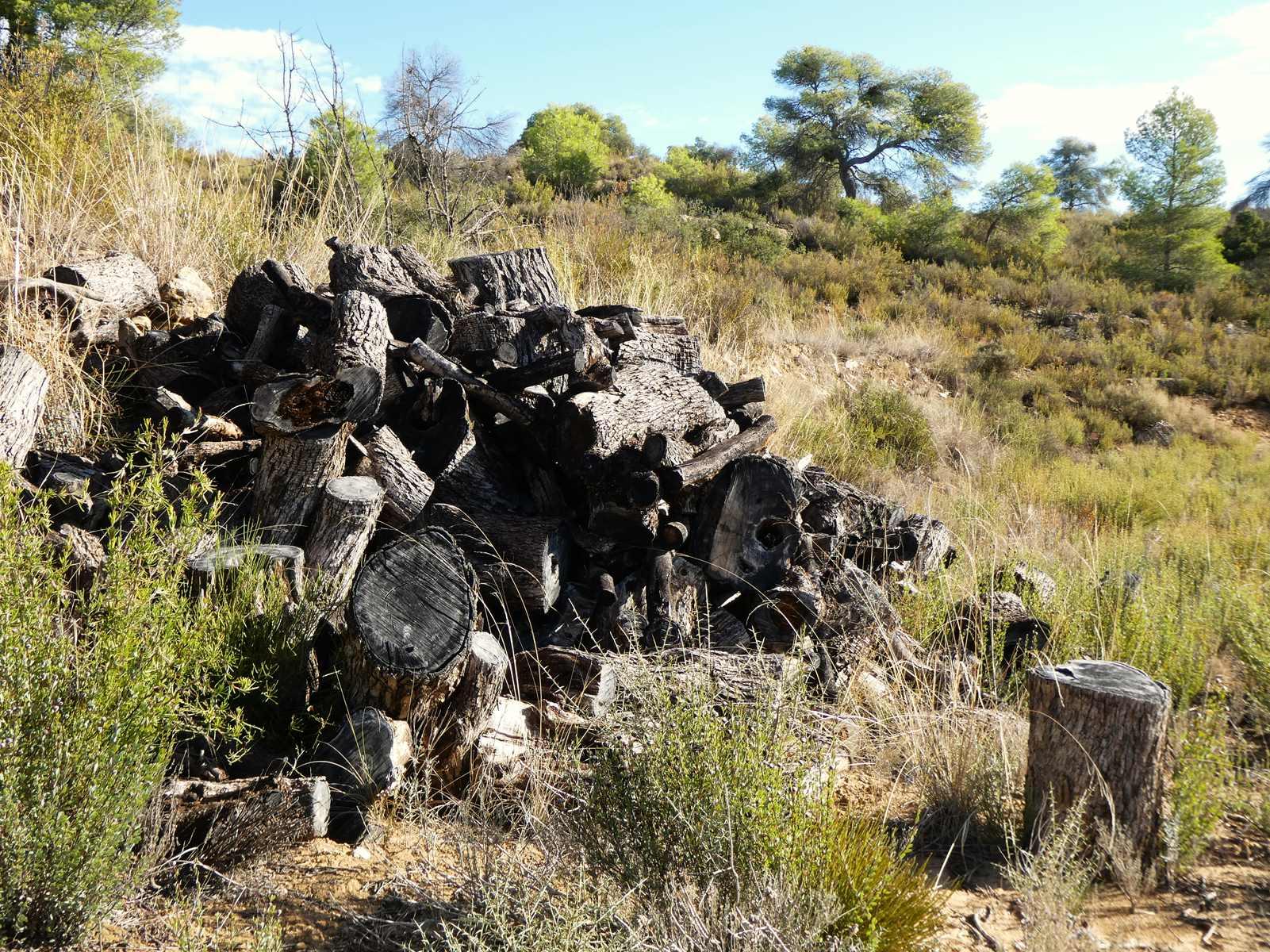 Finca en Venta en Maella